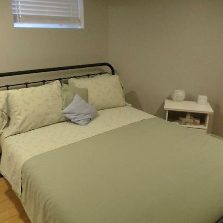 Fantastic And Modern Downtown 1-Bed Basement Apt., Parking Wi-Fi And Netflix Included Ottawa Dış mekan fotoğraf