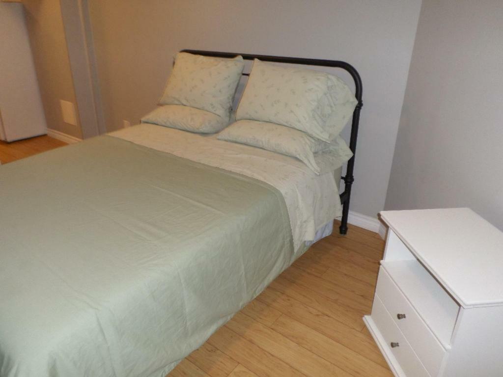 Fantastic And Modern Downtown 1-Bed Basement Apt., Parking Wi-Fi And Netflix Included Ottawa Dış mekan fotoğraf